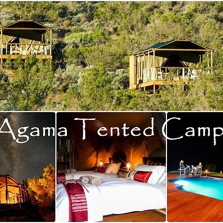 Agama Tented Camp Garies Buitenkant foto