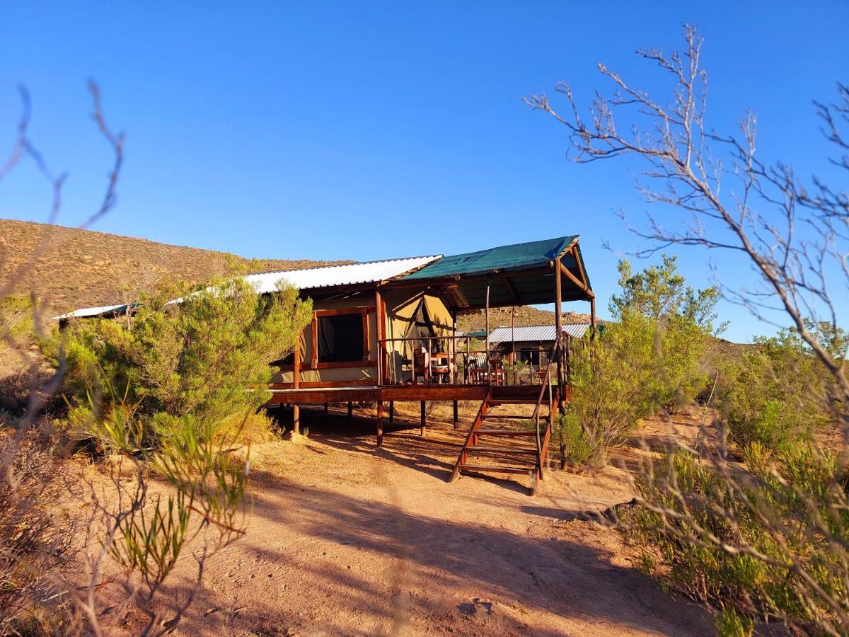 Agama Tented Camp Garies Buitenkant foto