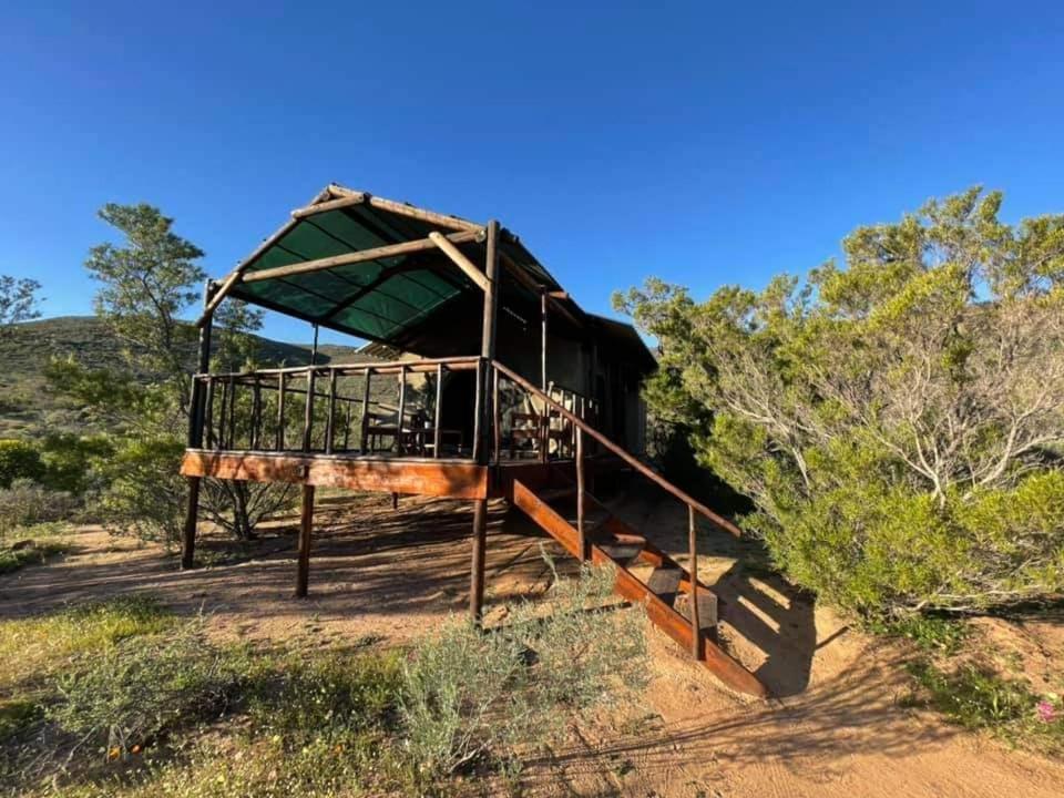 Agama Tented Camp Garies Buitenkant foto