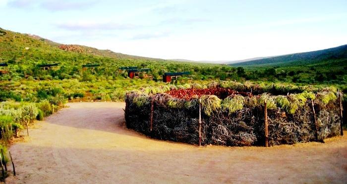 Agama Tented Camp Garies Buitenkant foto
