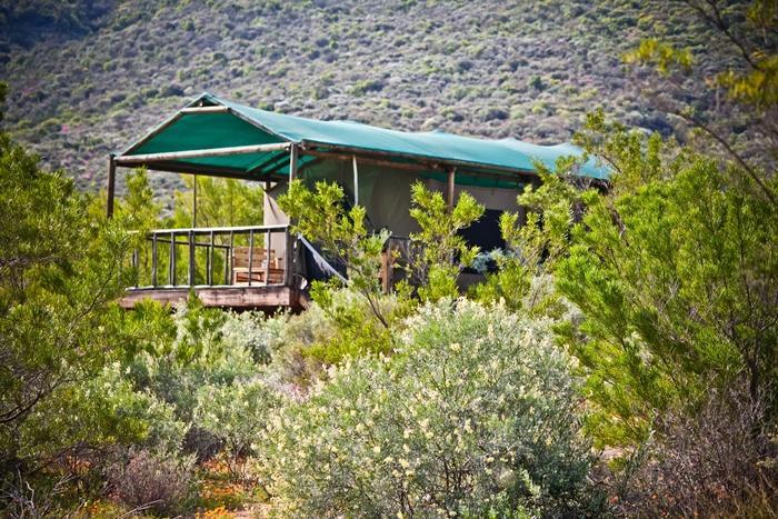 Agama Tented Camp Garies Buitenkant foto